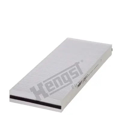 HENGST FILTER E2941LI Polen Fıltresı A0018359247