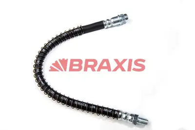 BRAXIS AH0804 Arka Dıs Fren Hortumu P607 00 10 480645