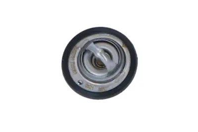 NRF 725061 Suzukı Alto 09-Thermostat 1767079011 2120001B00 485785400 9004833023000 MD096658 ZZS415171