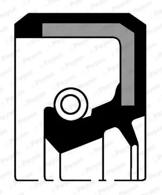 PAYEN NF722 Krank Kapak Kecesı R12 R9 R11 R19 1,6 32771583 7703087097