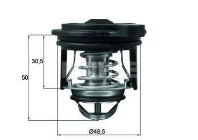 BEHR MAHLE TI 246 50 Termostat 	50 °c Contalı Ford Fıesta Vı 17> 1.0 Ecoboost 1.1 Vct CA6G8575DB