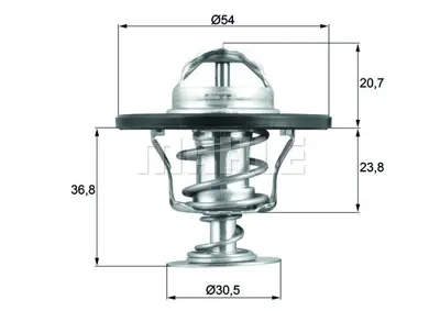 BEHR MAHLE TX 52 92 Termostat Thermostat İnsert 