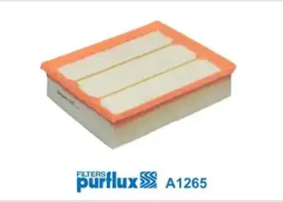 PURFLUX A1992 Hava Filitresi Ford Yenı Kasa Transıt 17> 2.0 Ecoblue GM 2240193, GM GK319601AB, GM 2012001, GM GK319601AA