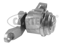 CORTECO 80004589 Motor Takozu Sağ 6G916F012CG