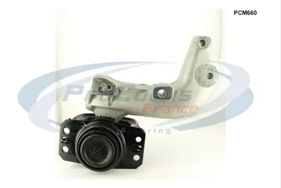 PSA 1839.H9 Motor Kulağı  1839H9