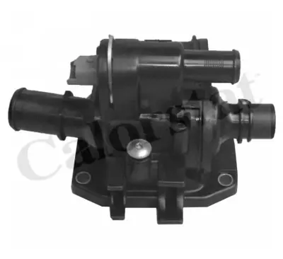 FORD 2S6Q 8A586 AD Termostat Yuvası 9671565980 11517805998 30711526 SU00100713 1769073J01 1336V6 9647767180 9654393880 Y401151H0 Y401151H0A