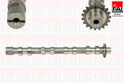 FORD 3M5Q 6A270 BB Eksantrık Mılı Emme 0801AC