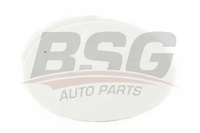 FORD 2S61 17A989 BCXWAA Çekı Demır Kapagı : Ön 1214013 2S6117A989BCXWAA