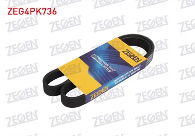 ZEGEN ZEG4PK736 Kanallı V Kayısı 4pk736 Mondeo Iıı 2.0 16v / Transıt 2.0 Dı 00- 