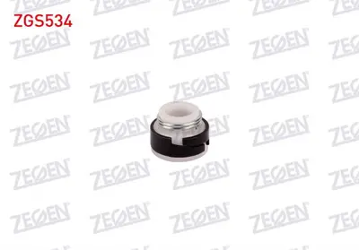 ZEGEN ZGS534 Subap Lastiği Teflon Renault 9 