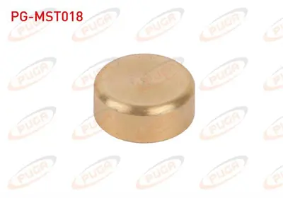 PUGA PG-MST018 Motor Blok Su Tapası 22mm Sarı Pırınc 