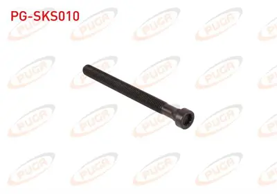 PUGA PG-SKS010 Silindir Kapak Saplaması Golf / Passat / Jetta / Polo / Amarok / Caddy / Transporter 1.6-2.0 Tdı 