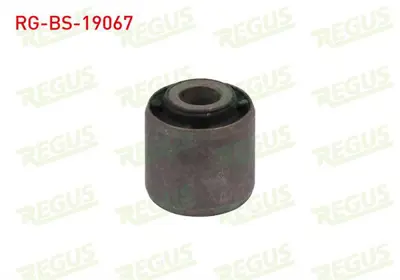 REGUS RG-BS-19067 Denge Kol Burcu Arka Sol-Sağ Ford Focus I (Dawdbw) 1.4i 16v 1998-2004 