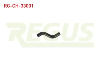 REGUS RG-CH-33001 Su Hortumu Karsan J9 Premıer 2.8 D 2007-2010 