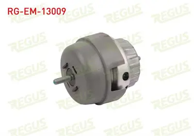 REGUS RG-EM-13009 Motor Takozu On Sol Audı A6 (4f2c6) 2.4 2004-2011 