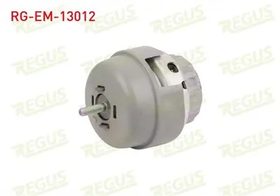 REGUS RG-EM-13012 Motor Takozu On Sağ Audı A6 (4f2c6) 2.0 Tfsı 2004-2011 