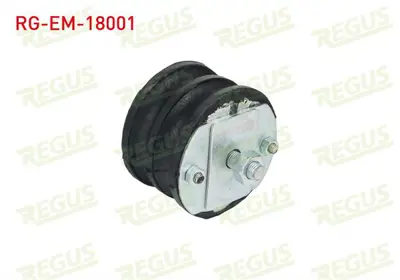 REGUS RG-EM-18001 Motor Takozu Yaylı Tıp M.131 / Dks 