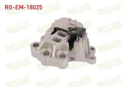 REGUS RG-EM-18025 Motor Takozu Egea 1.3 Mtj 