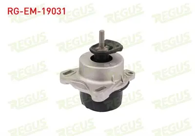 REGUS RG-EM-19031 Motor Takozu On Sol-Sağ Ford Transıt (V347) 2.2 Tdcı 2006-2014 