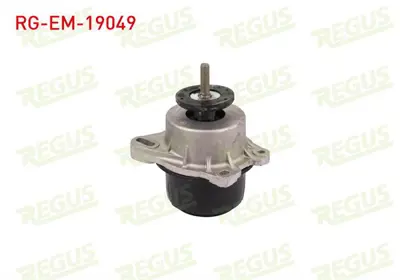 REGUS RG-EM-19049 Motor Takozu Sol-Sağ Ford Transıt (Fa_ _) 2.2 Tdcı 2000-2006 