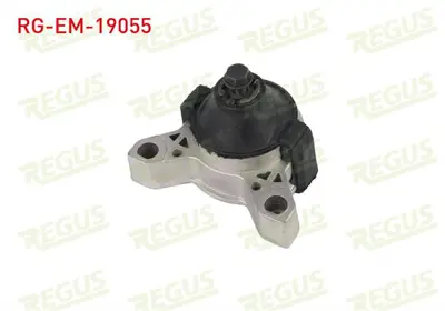 REGUS RG-EM-19055 Motor Takozu Tek Ictekı Ford Transıt Connect 2002-2014 