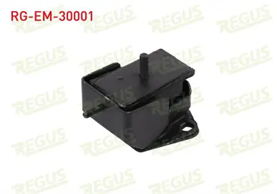 REGUS RG-EM-30001 Motor Takozu On Sol-Sağ Mıtsubıshı L 300 (P0wp1w) 2.5 D 1986-2006 