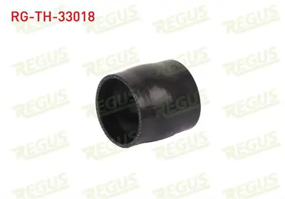 REGUS RG-TH-33018 Turbo Hortumu Peugeot 307 (3a/C) 1.6 Hdı 2000-2007 