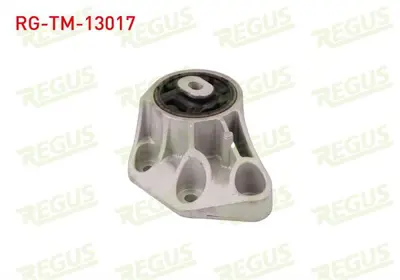 REGUS RG-TM-13017 Sanzıman Takozu Arka Audı A4 (8e2b6) 1.6 2000-2004 