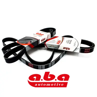 ABA 6PK1823XS Kanallı V Kayısı Dacıa GM 117206842R