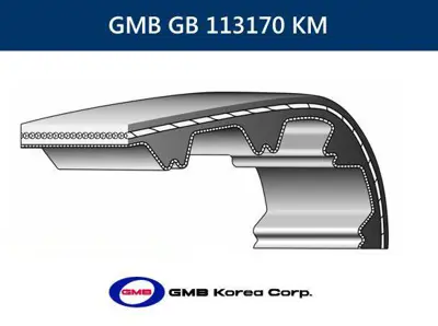 GMB GB 113170 KM Eksantrik Kayısı (113sp170h) GM 