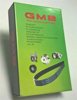 GMB GTK 597009 Eksantrik Ve Rulman Kiti Hıjet GM 