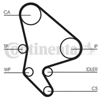 CONTINENTAL CONTITECH CT 987K2 Triger Seti 0831V3