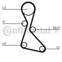 CONTINENTAL CONTITECH CT 684 Triger Kayısı 30855992 HR5811418 3343720 3343740 33437203 30855993 30621261 8200051091 7701468167 7700863112