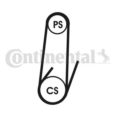 CONTINENTAL CONTITECH 4PK 1102ELAST V Kayısı 9936421100 9936401100 117200M311 117200M313 117200M312 9936481100 9936471100 71749419 71719642 7635566