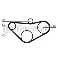 CONTINENTAL CONTITECH CT 800 Balans Kayısı 13405PTO004 13405PT0004 13405PAAA03 13405PAAA02 14501PAAA02 14501PAAA03 14510PT0002 14510PT0003 14510PT0004 14510PTO003