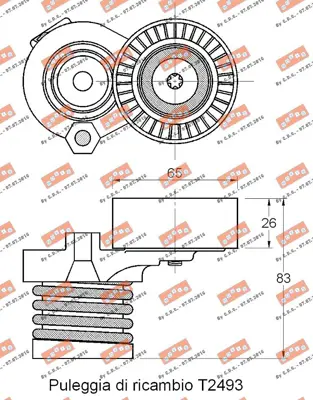 OEM 117509264R 117509264r Altenatör Gergi Rulmanı Kütüklü Clıo Iı-Iıı-Mgn Iı-Iıı 1.4 16v-1.5dcı A6072000070 A6072000100 6072000070 6072000100 1195500Q0K 119551KB2A 117501113R 117509264R 1175000Q0B 1175000Q0D