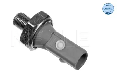 MEYLE 100 800 9068 Yağ Müşürü Vw Caddyıı,Skoda Superb,T5 2.5tdi  Gri GM 038919081M