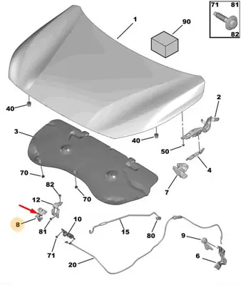 PSA 9823236680 Motor Kaput Acma Dılı 208 (P21e) 9823236680