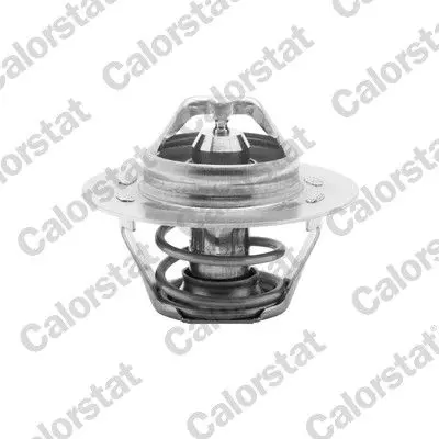 CALORSTAT by Vernet TH5108.89 Termostat R11 Flash R9 R19 Dzl Lgn (93 01) Kng Ducato P106 P30p405 Xantıa (Th1417,89 / Th6148,89 / V 