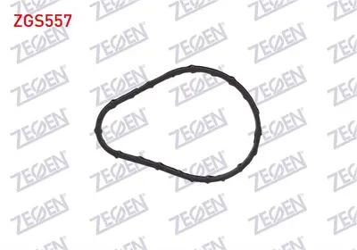 ZEGEN ZGS557 Termostat Contası Master Iı 2.5 Dcı 