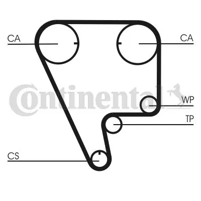 CONTINENTAL CONTITECH CT794 Trıger Kayısı 124x260 Honda Cıvıc 1.6 16v 90-01 Ct794 14000P2T004 14400P2T004 14400P2TX0040 14400PK2004 14400PK20040 14400PK3004 14400PK30040 14400PM7004 14400PR3004 14400PR30040