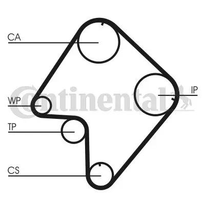 CONTINENTAL CONTITECH CT832 Trıger Kayısı 162x254 Suzukı Grand - Vıtara 2.0d 8v 95-01 Kıa Sportage 2.0tdı 8v   5355xs 1041869 12761780E01 12761780E02 1276178E01 1276178E01000 1276178E02 1276178E02000 1276180 127618E01 1281078E00