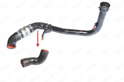 IBRAS 14871 Turbo Intercoller Hortumu (Orta Kucuk) Boxer Iıı Jumper Iıı 2,2hdı E5 12> Ducato Iıı 2,3jtd 12> 1606660380