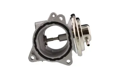 AISIN EGRAZ-7008 Egr Valfi Vw 1.9 Tdi Jetta,Golfv Bkc Bkd Bkp GM 038131501AF