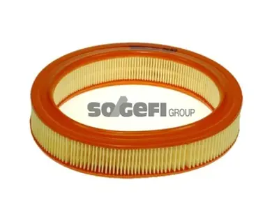 PURFLUX A649 Hava Fıltresı Ford 1444L5 7701409292 79BF9601AN 93152533