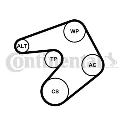 CONTINENTAL CONTITECH 6PK1244K1 Alternator Gergı Kıtı P308 2.0hdı 07 407 2.0hdı 08 508 2.0hdı 10 16112783 1611278380 1611425780 1683646 1768088 5750YX 5751H3 5751H8 96817523 9681752380