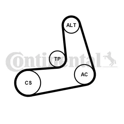 CONTINENTAL CONTITECH 6PK1005K2 Kanallı V Kayıs Setı 11287594969 11287618848 12317605060 12317605061 12317605478 12317605479 12317605480 12317610260 7594969 7605060 7605061 7605478 7605479 7605480 7610260 7618848