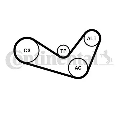 CONTINENTAL CONTITECH 6PK1050K4 Kanallı V Kayıs Setı Daıly Iıı 99>07 Ducato Boxer Jumper 11281497435 11287518251 1425510 1535429 1567809 2020419 2472280 31258145 31316674 31330379