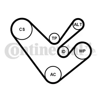 CONTINENTAL CONTITECH 6PK1555K4 Kanallı V Kayıs Setı Amarok 10> T6 T7 09> 2.0tdı Caac Cfca Ccha Cnfa Cdba 1011691 1011699 11281427250 11281427260 11281437368 11281437475 11281437929 11281438276 11281469266 11281525418