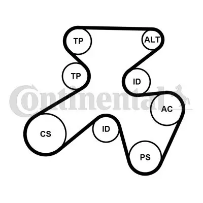 CONTINENTAL CONTITECH 7PK1855K1 Kanallı V Kayıs Setı 11287568247 11287570664 11287578674 11287578675 11287582946 11287628652 11287628653 12317550468 12317585940 12317591532 12317591533 12317626153 12317626155 7550468 7568247 7570664 7578674 7578675 7582946 7585940 7591532 7591533 7626153 7626155 7628652 7628653